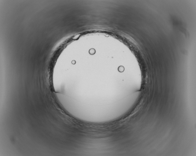 X0000112791310200910021050