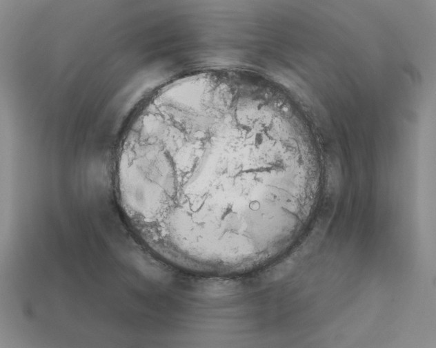 X0000112791314200910021051