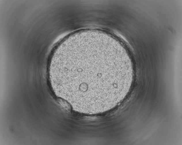 X0000112791315200910021051