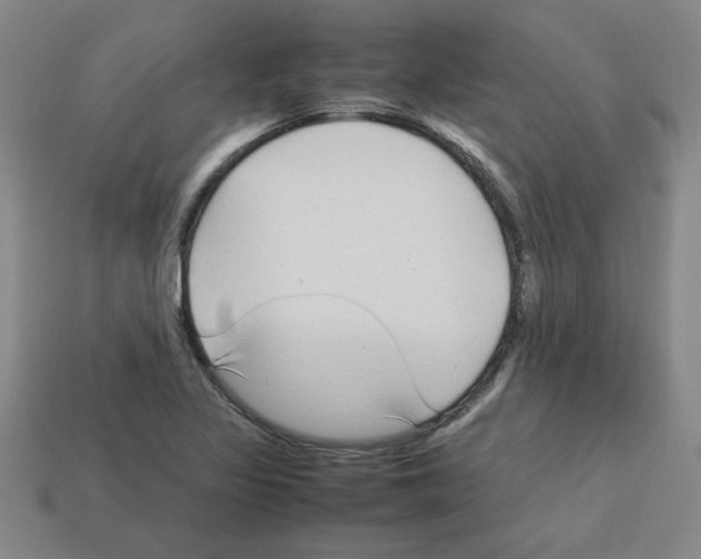 X0000112791317200910021051