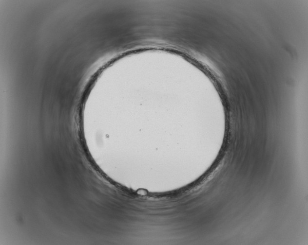 X0000112791318200910021051