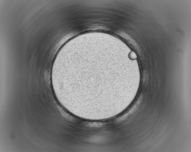 X0000112791321200910021051