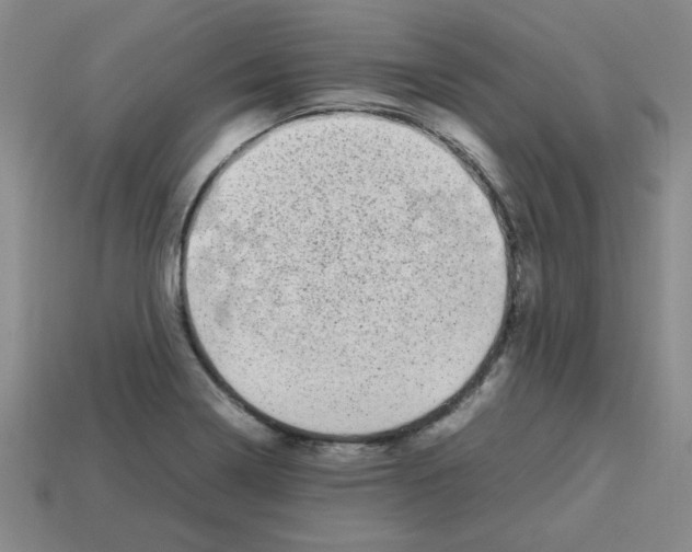 X0000112791322200910021051