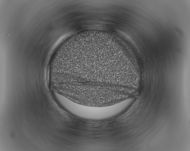 X0000112791323200910021051