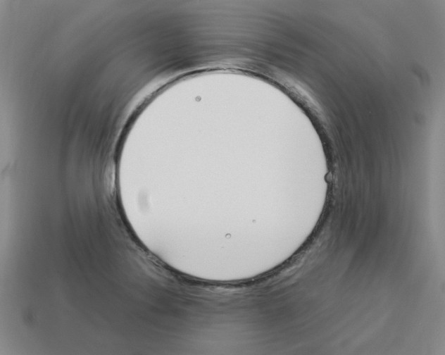 X0000112791324200910021051