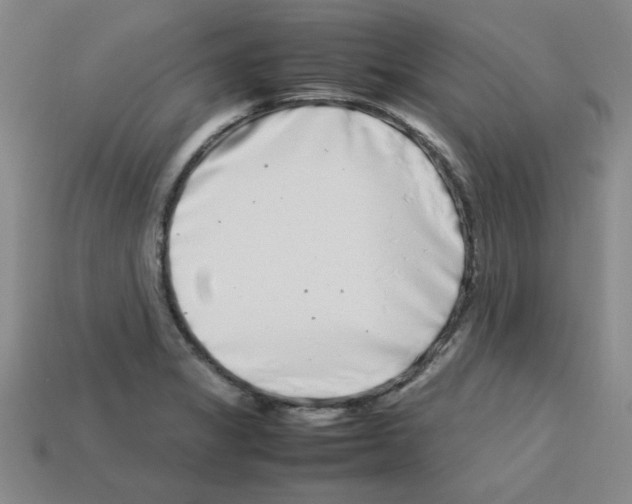 X0000112791325200910021051