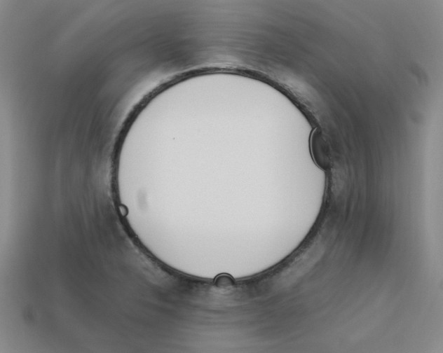 X0000112791326200910021051