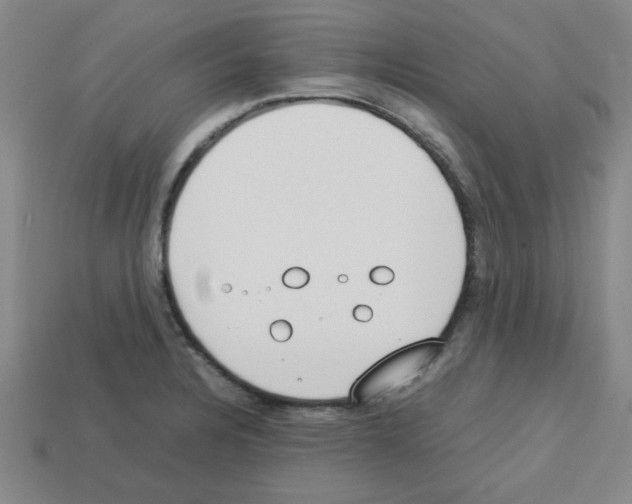 X0000112791328200910021051