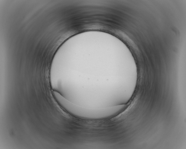 X0000112791329200910021051