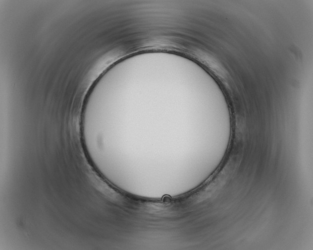 X0000112791330200910021051