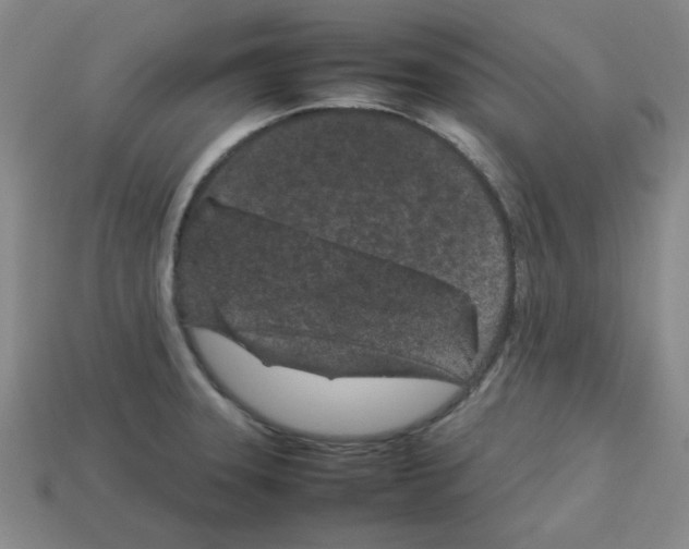 X0000112791331200910021051