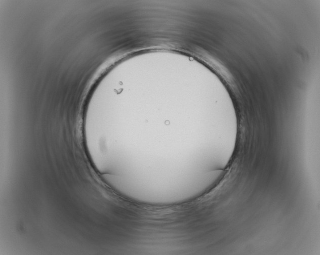 X0000112791332200910021051