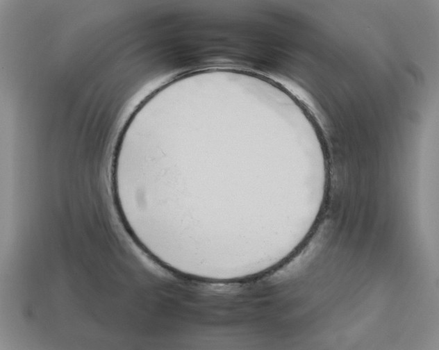 X0000112791333200910021051