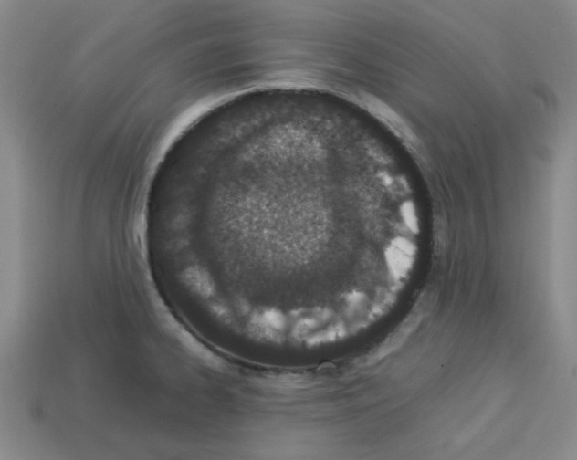 X0000112791334200910021051