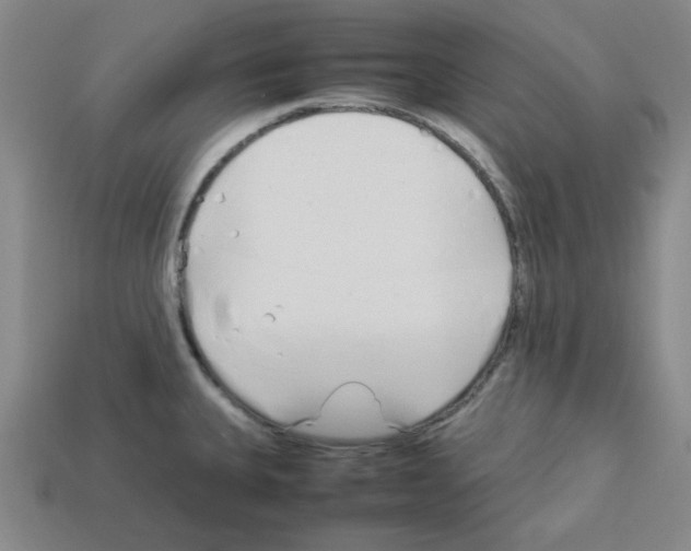 X0000112791335200910021051