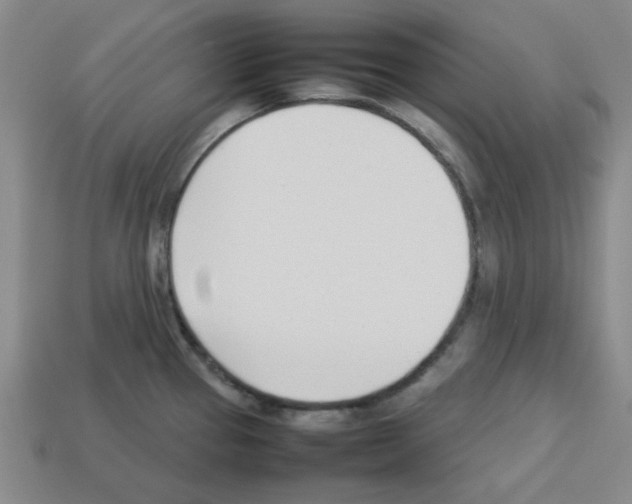 X0000112791337200910021051