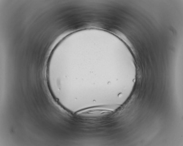 X0000112791339200910021051