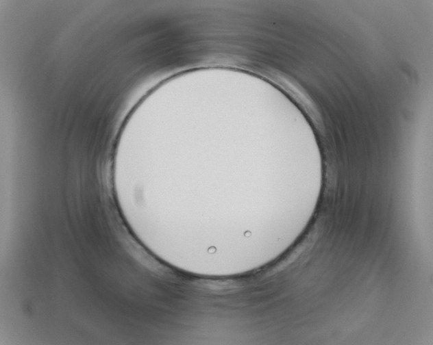 X0000112791340200910021051