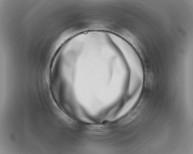 X0000112791342200910021051