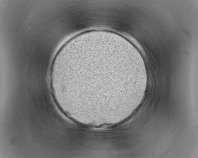 X0000112791343200910021051