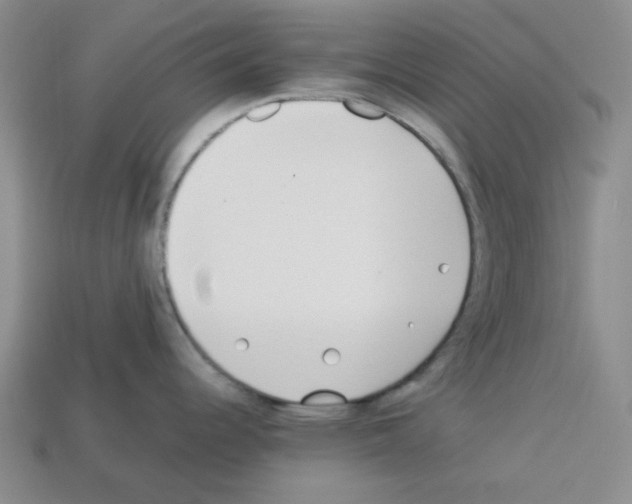 X0000112791344200910021051