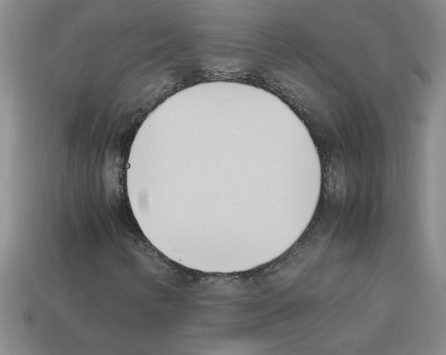 X0000112791346200910021050