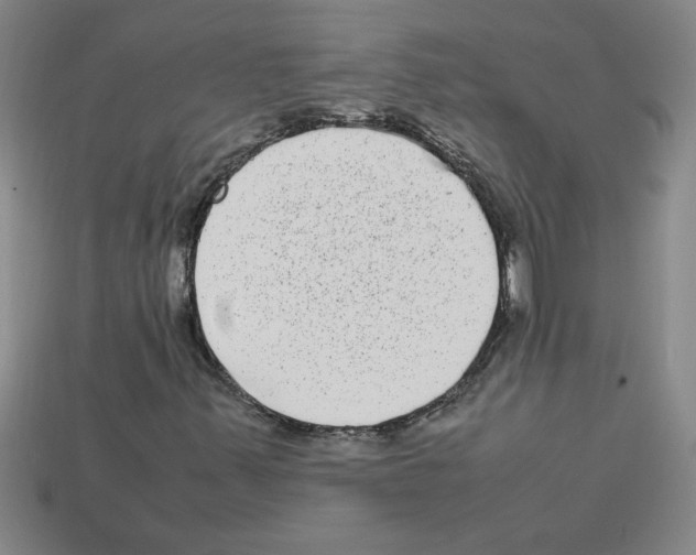 X0000112791347200910021050