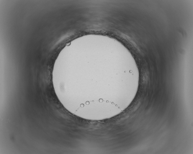 X0000112791350200910021050