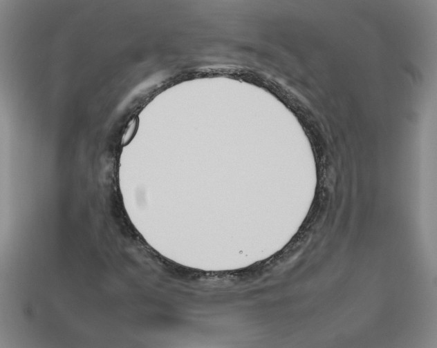 X0000112791351200910021050