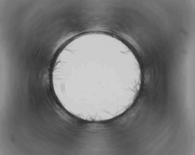 X0000112791356200910021050