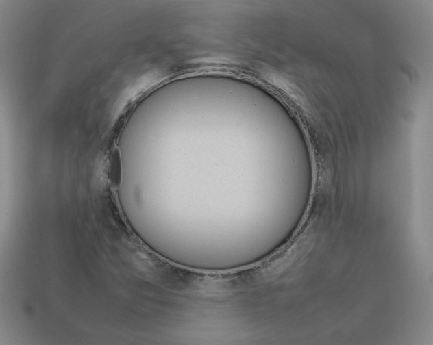 X0000112791357200910021050