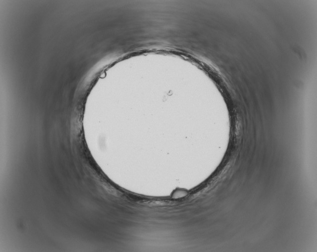 X0000112791359200910021050