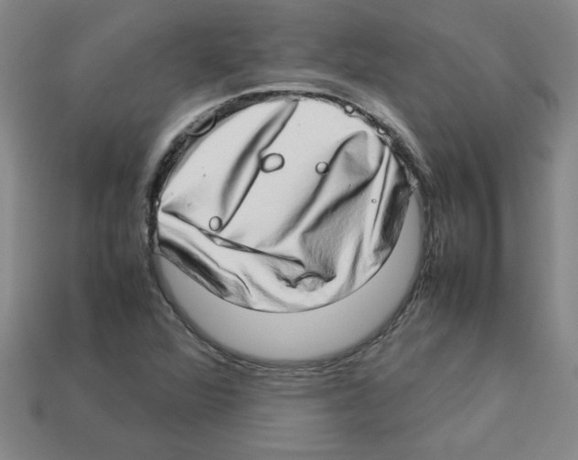 X0000112791360200910021050