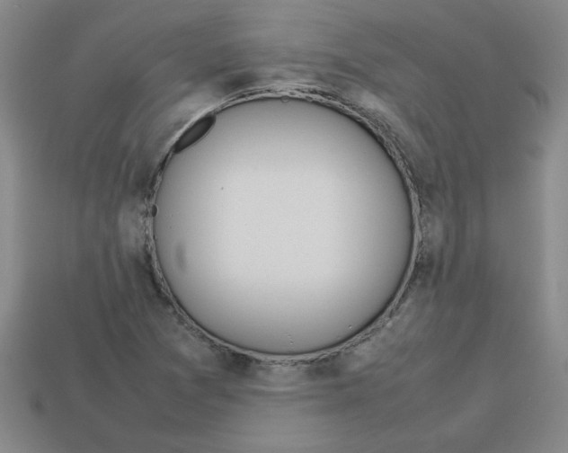 X0000112791361200910021050