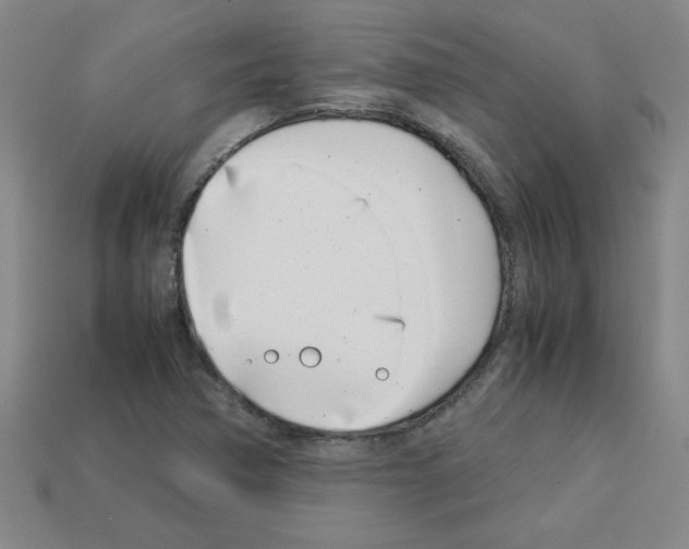 X0000112791362200910021050