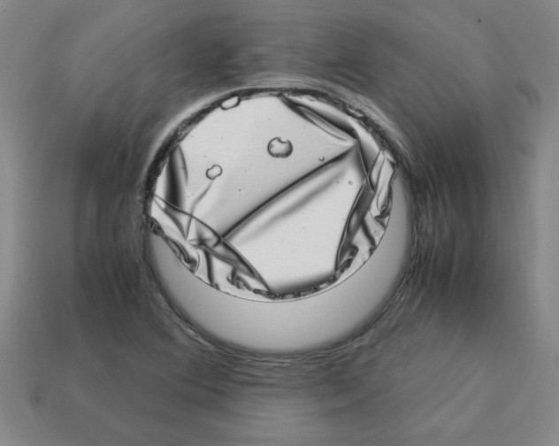 X0000112791364200910021050