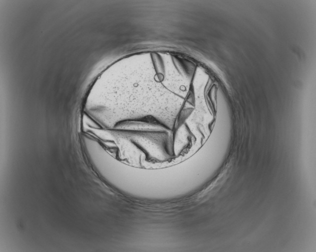 X0000112791365200910021050