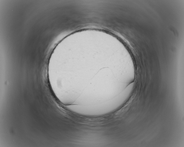 X0000112791367200910021050