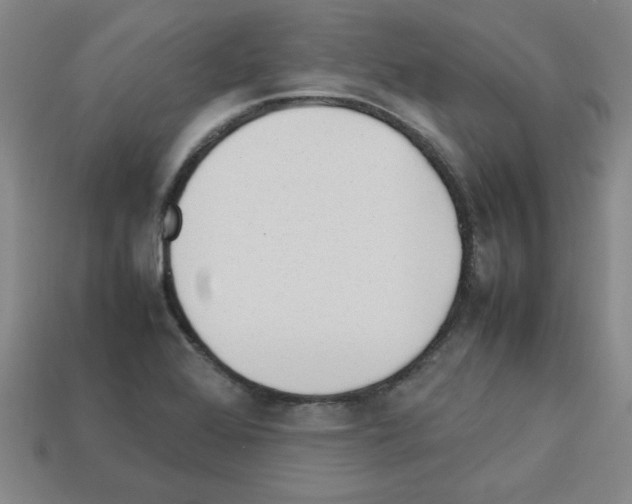 X0000112791368200910021050