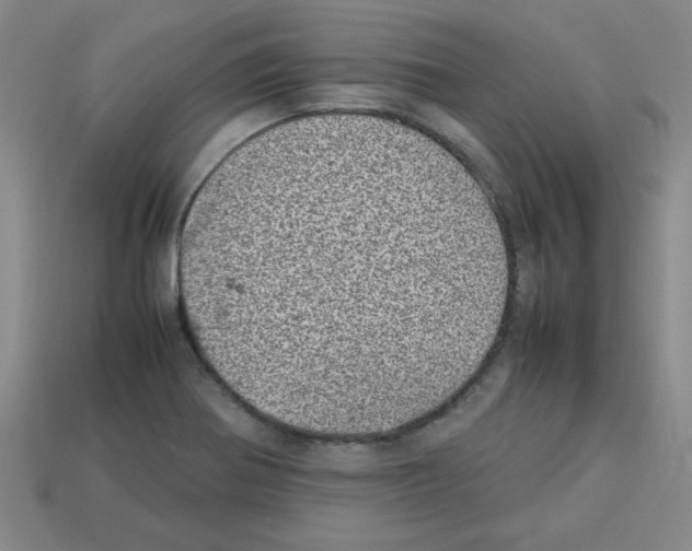 X0000112791370200910021050