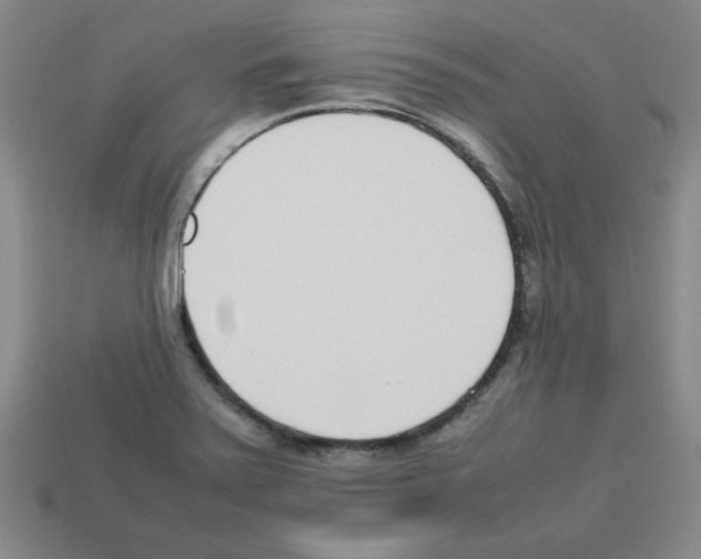 X0000112791371200910021050