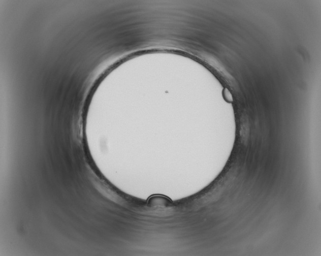 X0000112791372200910021050