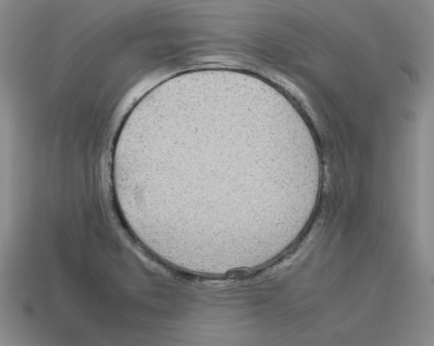 X0000112791373200910021050