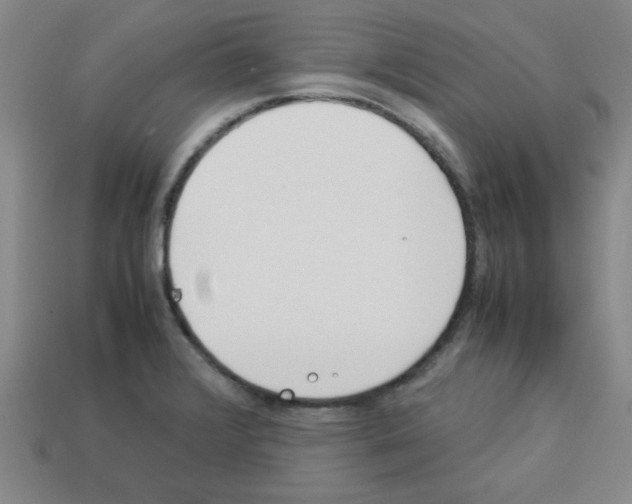 X0000112791376200910021050