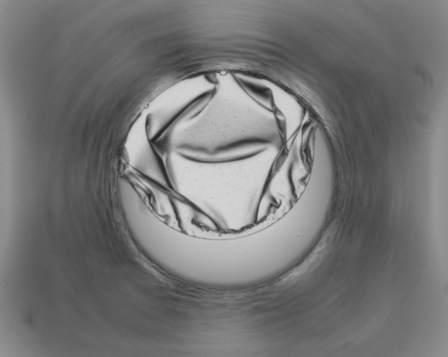 X0000112791377200910021050