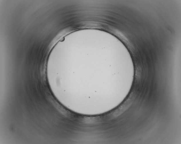 X0000112791378200910021050