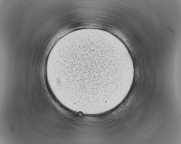 X0000112791379200910021050