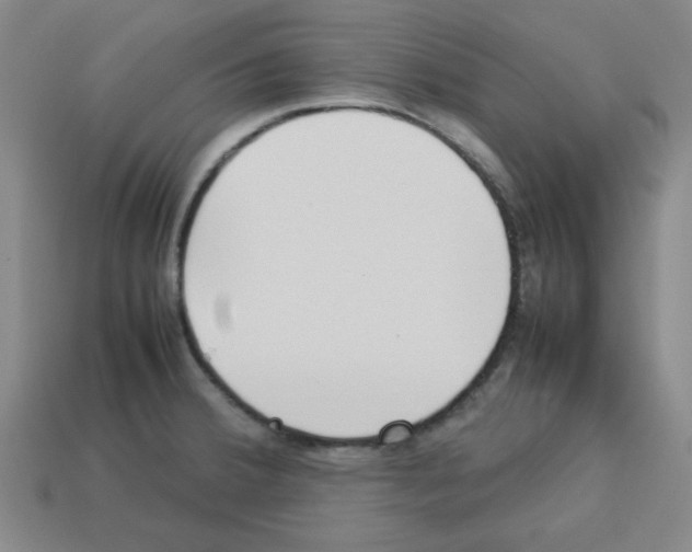 X0000112791380200910021050