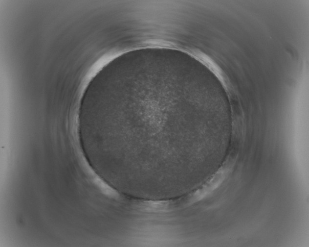 X0000112791381200910021050