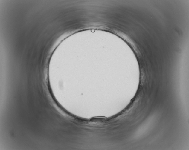 X0000112791383200910021050